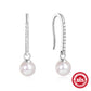 925 Sterling Silver Elegant Ear Hooks