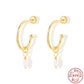 925 Sterling Silver Elegant Ear Hooks