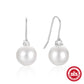 925 Sterling Silver Elegant Ear Hooks