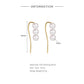 925 Sterling Silver Elegant Ear Hooks